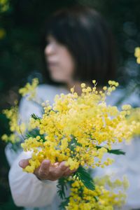 flowering plant