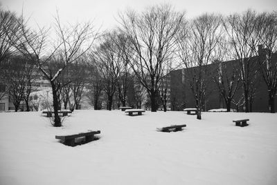 Trees on snow covered landscape