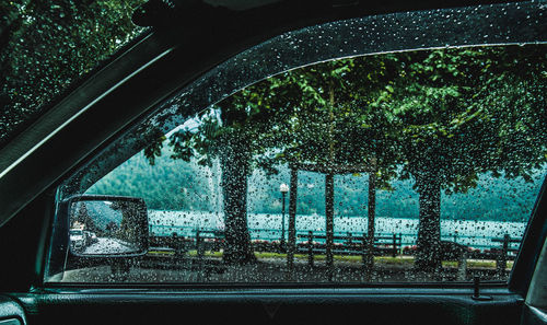 Trees seen through wet car window in rainy season