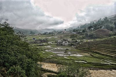 High angle view of trees on field against sky