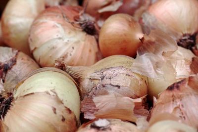 Full frame shot of pumpkins