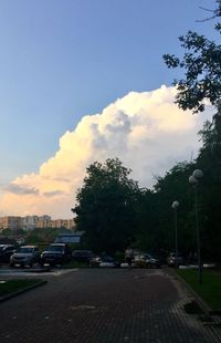 Cars on street in city against sky