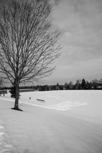 Bare tree on snow covered field against sky