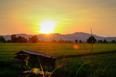 Scenic view of field against sky during sunset