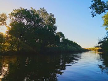 Scenic view of lake in forest against clear sky