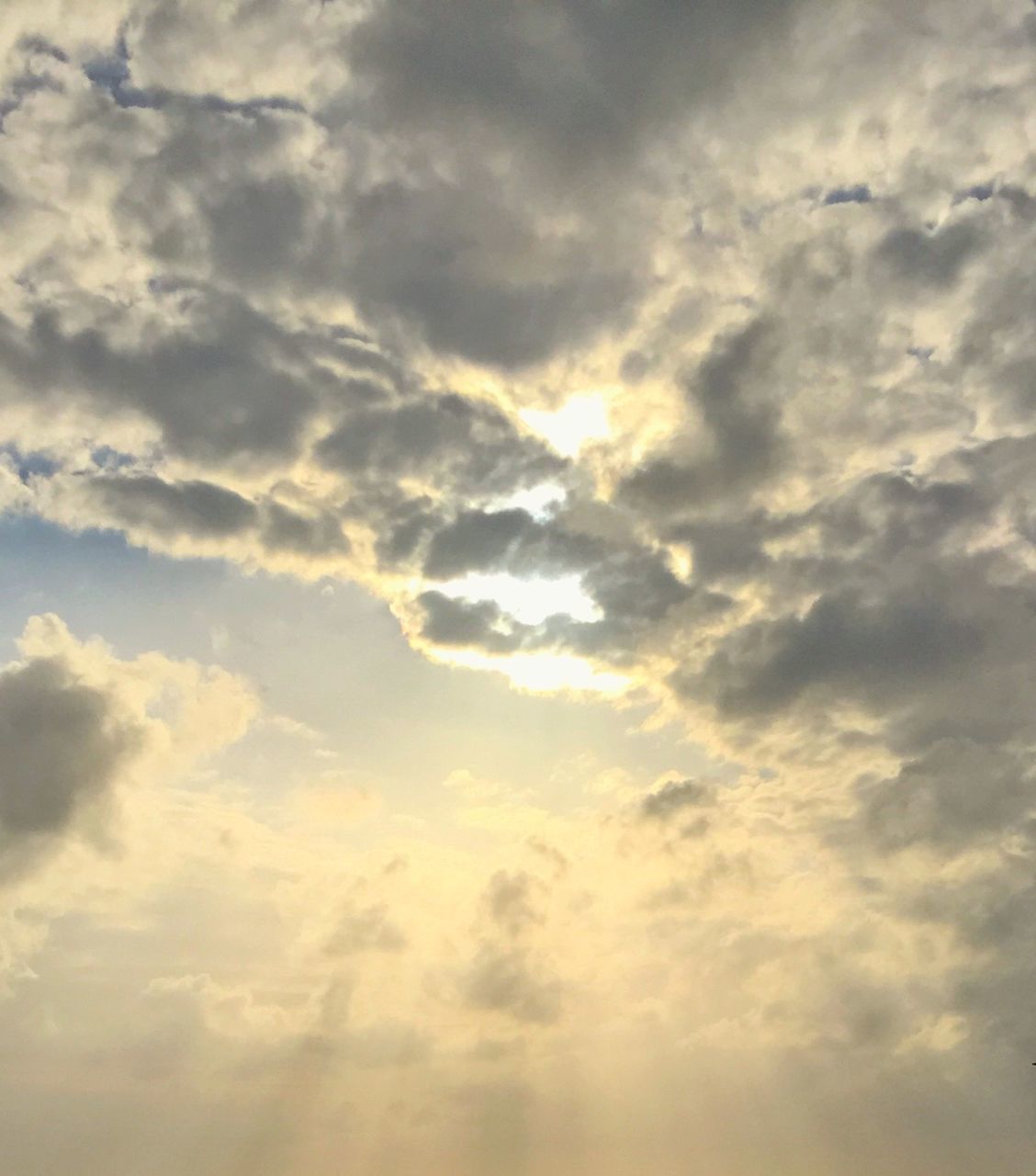 LOW ANGLE VIEW OF CLOUDY SKY DURING SUNSET