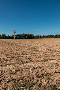 Scenic view of agricultural field against clear blue sky