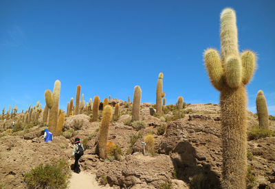 Rear view of people hiking on mountain against clear blue sky during sunny day