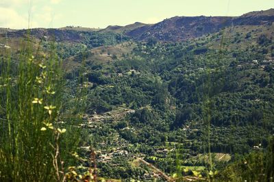 High angle view of trees on landscape against sky