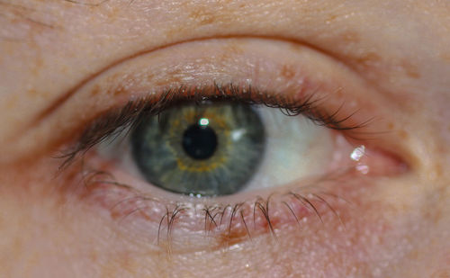Extreme close up of man eye