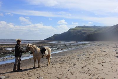 Dog standing on beach