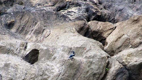 Full length of rocks on rock