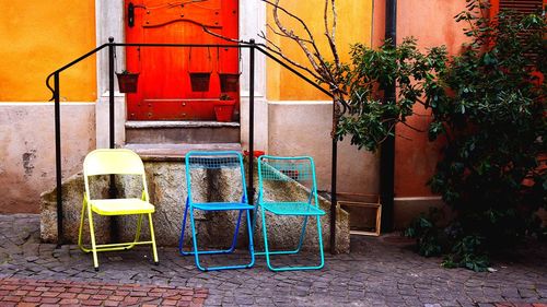 Potted plants on the wall