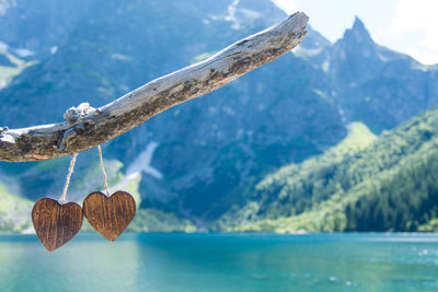 Close-up of heart shape hanging on tree by sea against sky