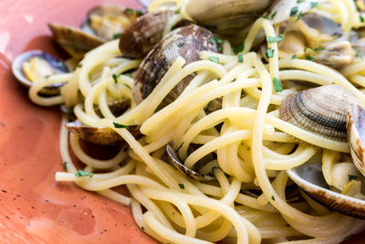 Close-up of pasta and clam in plate