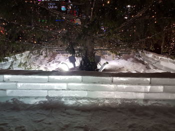 Snow on illuminated tree at night