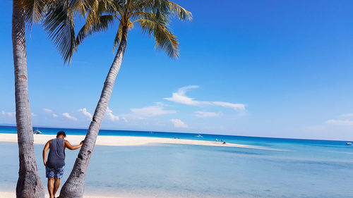 Rear view of palm trees on beach against sky