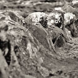 Close-up of rock formation