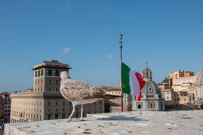 Buildings in city against clear blue sky