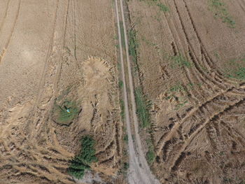 soil