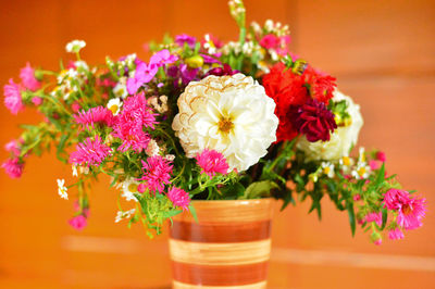 Close-up of pink flowers on table