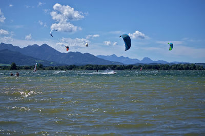 Flock of birds flying over sea