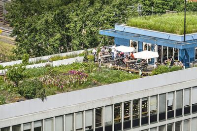 View of flowering plants by building