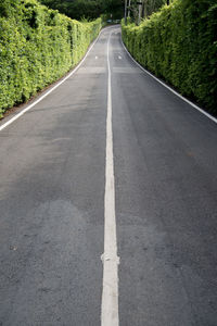 Empty road amidst trees