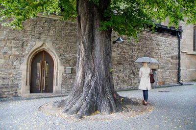 Rear view of woman walking by tree