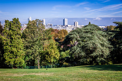 Trees and plants in city against sky