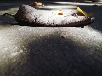 Close-up of ice cream on footpath