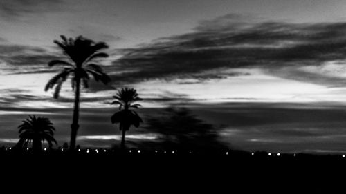 Low angle view of silhouette palm trees against sky