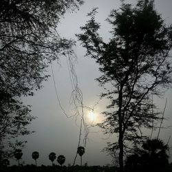 Low angle view of silhouette trees against sky at sunset