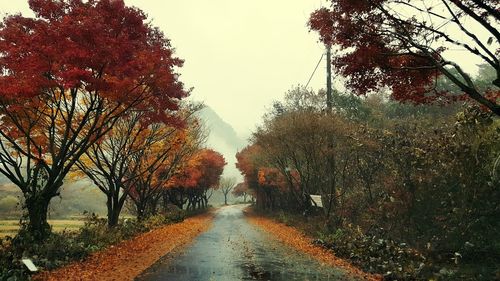 Road amidst trees against sky during autumn