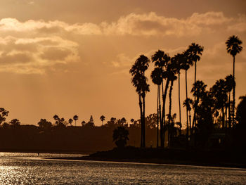 Silhouette palm trees by lake against sky during sunset