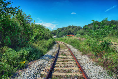 Railroad tracks along plants and trees