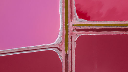 Close-up of icicles against pink background