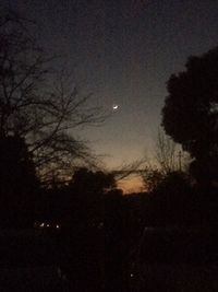 Low angle view of silhouette trees against sky at night