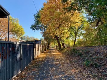 Footpath amidst trees during autumn