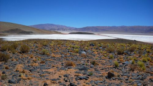 Scenic view of landscape against clear blue sky during sunny day