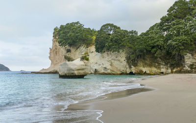 Coastal area named cathedral cove