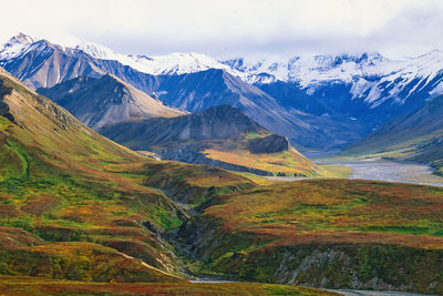 Mountainous view in denali national park at autumn