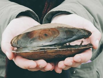 Close-up of hand holding fish