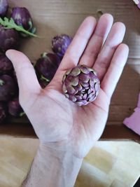 Cropped hand of person holding pine cone