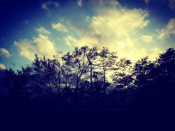 Low angle view of silhouette trees against sky