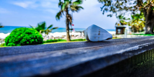 Close-up of bread on wood against sky