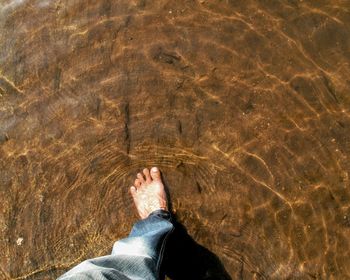 Low section of person in water