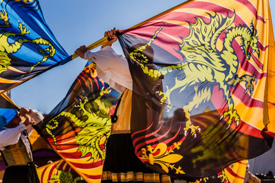 Man waving flag at parade