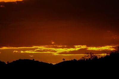 Silhouette of trees against dramatic sky