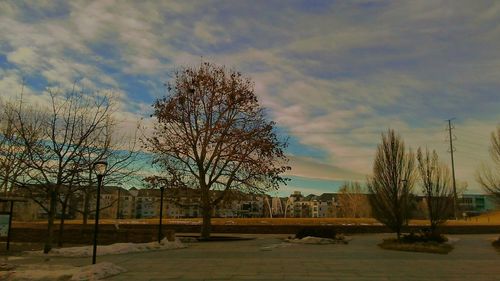 Bare trees on landscape against cloudy sky